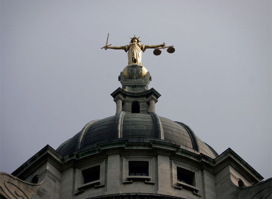  ثعلب ينبش قبر طفل دفنته امه المشردة حيا قبل عامين صورة رقم 4