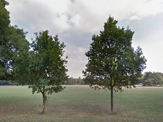  ثعلب ينبش قبر طفل دفنته امه المشردة حيا قبل عامين صورة رقم 3