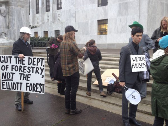 غابة اميريكية تبحث عن مشترٍ صورة رقم 5