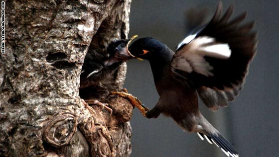 شاهد بالصور.. الجزء الثاني من أبرز صور واحداث عام 2014 صورة رقم 12