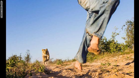 شاهد بالصور.. الجزء الثاني من أبرز صور واحداث عام 2014 صورة رقم 15