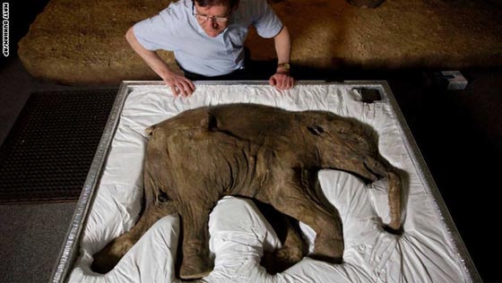 شاهد بالصور.. الجزء الثاني من أبرز صور واحداث عام 2014 صورة رقم 20