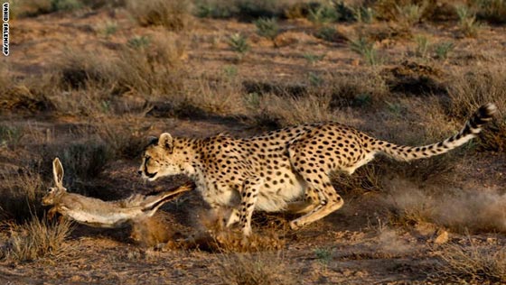 شاهد بالصور.. الجزء الثاني من أبرز صور واحداث عام 2014 صورة رقم 23