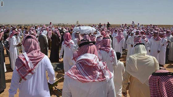 اكثر الكلمات تألقا في سماء غوغل خلال عام 2014 صورة رقم 8