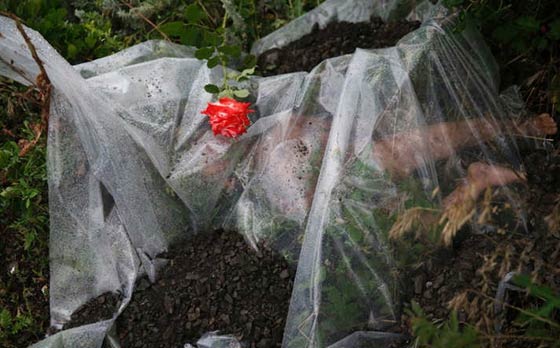 شاهد ابرز أحداث العام 2014 في صور.. الجزء الثالث صورة رقم 4