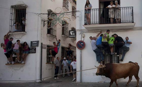 شاهد ابرز أحداث العام 2014 في صور.. الجزء الثالث صورة رقم 5