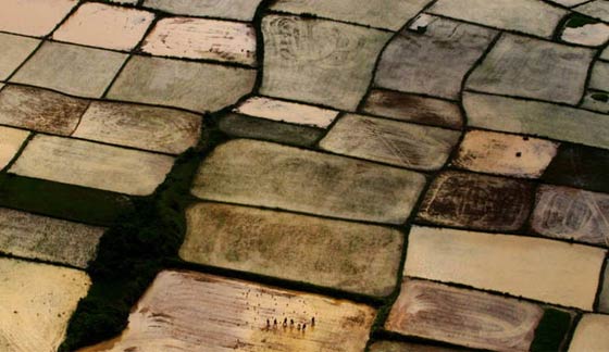 شاهد ابرز أحداث العام 2014 في صور.. الجزء الثالث صورة رقم 12