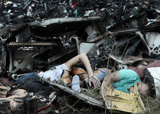 بالصور.. العام 2014 عام الكوارث الجوية وخاصة الماليزية صورة رقم 6