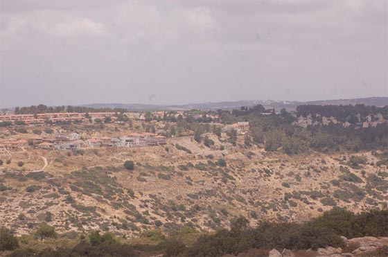 وزراء اسرائيليون متورطون مع مزورين بسرقة اراض فلسطينية صورة رقم 2