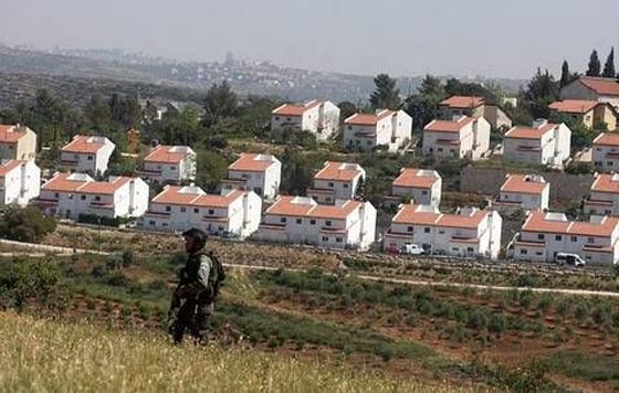 محكمة اسرائيلية تأمر بهدم مستوطنة بنيت على اراض فلسطينية صورة رقم 2