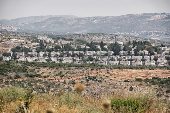 محكمة اسرائيلية تأمر بهدم مستوطنة بنيت على اراض فلسطينية صورة رقم 1