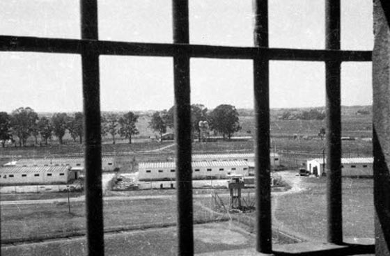 4646 يوما في السجن مدونة على ورق السجائر صورة رقم 11