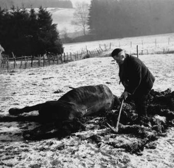 بالصور.. اعظم المعارك التي خاضها الجيش الامريكي في تاريخه صورة رقم 2