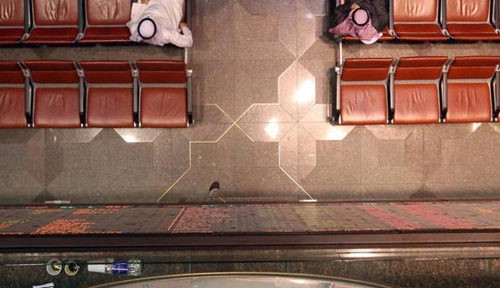 هل سيكون كل سكان الارض شبابا ويتحدثون مع الحيوانات؟ اليكم ابرز نبوءات نوستراداموس صورة رقم 1