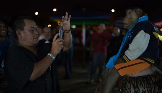 هل سيكون كل سكان الارض شبابا ويتحدثون مع الحيوانات؟ اليكم ابرز نبوءات نوستراداموس صورة رقم 3