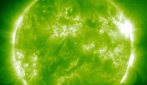 هل سيكون كل سكان الارض شبابا ويتحدثون مع الحيوانات؟ اليكم ابرز نبوءات نوستراداموس صورة رقم 7