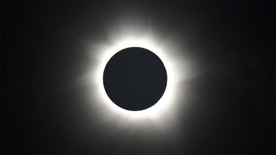 اغرب 10 اشاعات خدعت الملايين من رواد الإنترنت عام 2014 صورة رقم 6