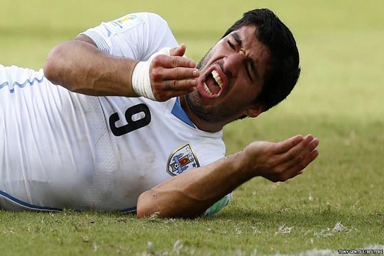 سجل مصور لعام 2014.. صور تعبر عن ملايين الكلمات صورة رقم 15