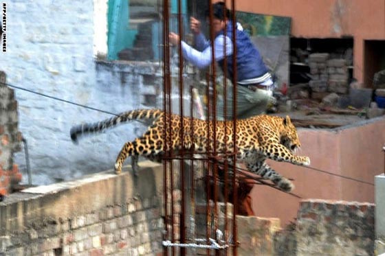 سجل مصور لعام 2014.. صور تعبر عن ملايين الكلمات صورة رقم 18