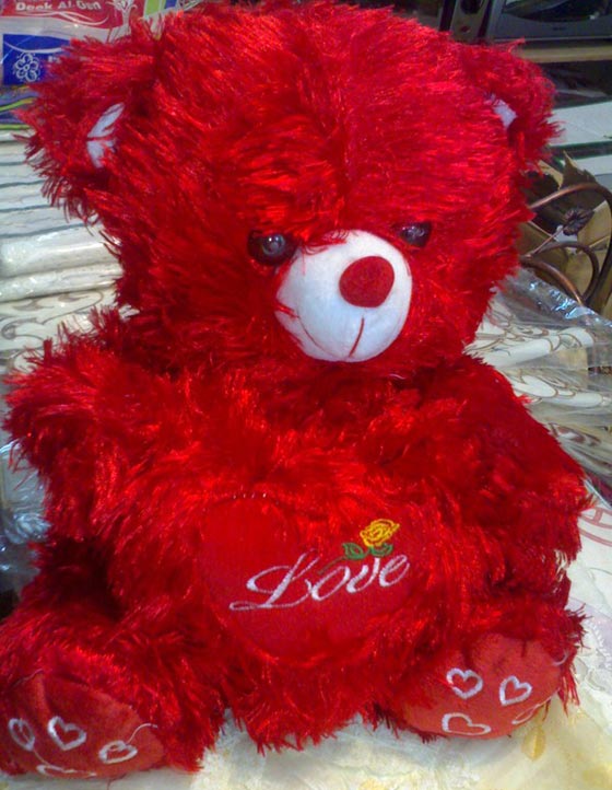 الدواعش يعاقبون شابا بالجلد.. والسبب اقامة دبدوب الحب في غرفته!! صورة رقم 1