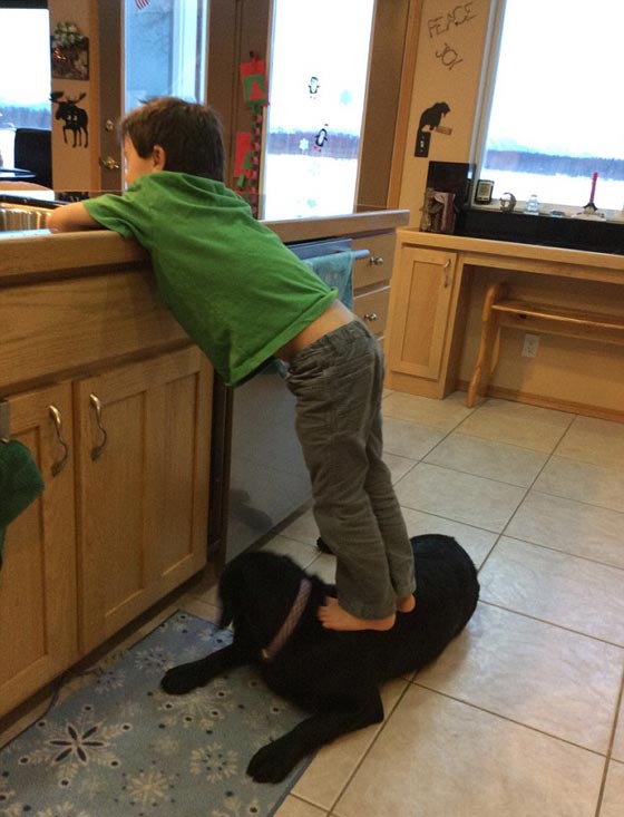 طفل وكلب.. صور تطلق موجة غضب فيسبوكية ضد السياسة الاميريكية صورة رقم 3