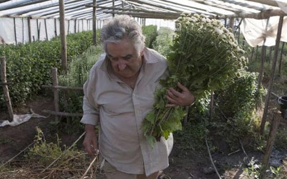 مفاجأة مدهشة.. مواطن يكتشف ان من اوصله في سياراته هو رئيس بلاده!! صورة رقم 4