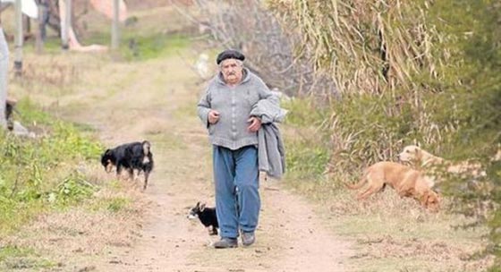 مفاجأة مدهشة.. مواطن يكتشف ان من اوصله في سياراته هو رئيس بلاده!! صورة رقم 15