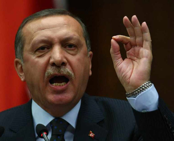 الشرطة تستجوب ملكة جمال تركيا بسبب سخريتها من اردوغان صورة رقم 3