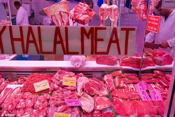  غضب في بريطانيا بعد المصادقة على مسلخ ذبح الحلال دون صعق صورة رقم 4