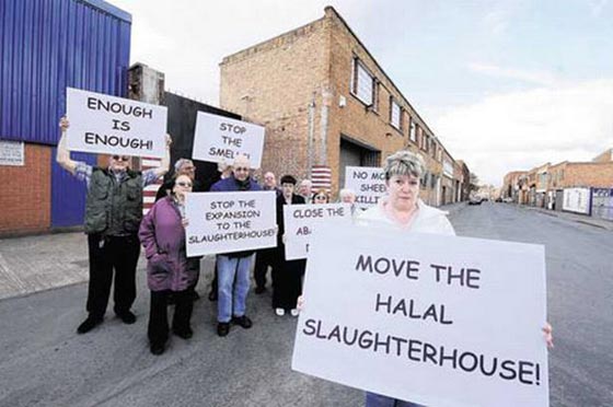  غضب في بريطانيا بعد المصادقة على مسلخ ذبح الحلال دون صعق صورة رقم 3