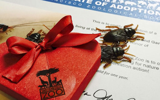 لاصحاب القلوب المحطمة في فالنتاين: عقرب على اسم حبيبك السابق! صورة رقم 3