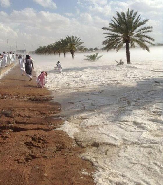  بالصور الثلوج تكسو السعودية وسعودي يؤدي الصلاة مع ابنائه في العراء  صورة رقم 4