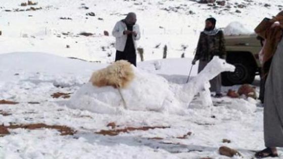  بالصور الثلوج تكسو السعودية وسعودي يؤدي الصلاة مع ابنائه في العراء  صورة رقم 12