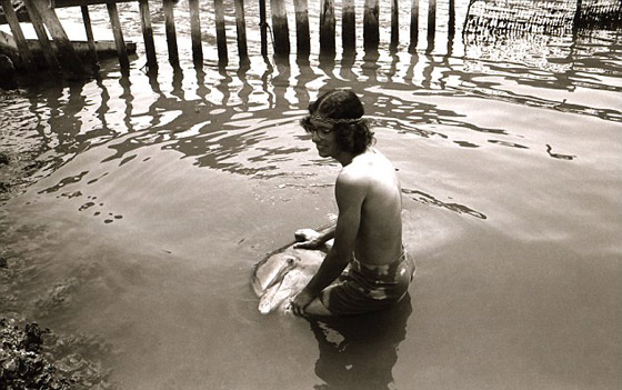 صداقته المتينة مع الدولفين أغرته لاقامة علاقة حميمة معه! صورة رقم 2