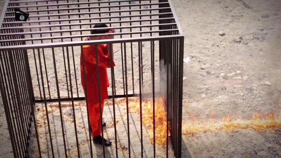 ارهابيو داعش مطلوبون للازهر.. لكن للقتل والصلب صورة رقم 6