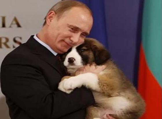 البنتاغون: بوتين مصاب بمرض خطير يوثر على كل قراراته! صورة رقم 5