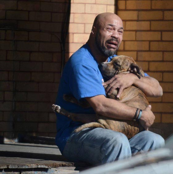 طوكيو: المحكمة تقر تعويضات لعائلة مات كلبها بازمة قلبية بعد مهاجمة كلب كبير له صورة رقم 1