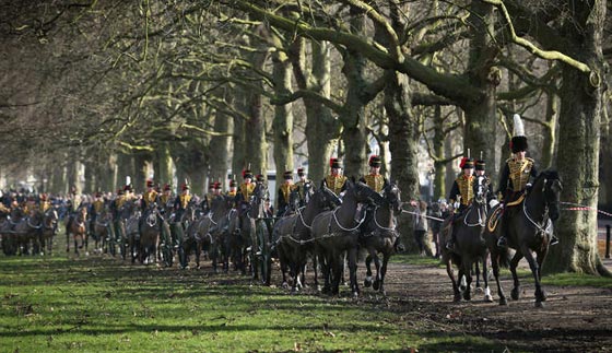 قصة مصورة.. لهذا السبب فر الحصان.. وانطلق في شوارع لندن صورة رقم 4