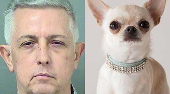 امريكي ينتقل من سرير الزوجية لممارسة الرذيلة مع كلبته!! صورة رقم 1