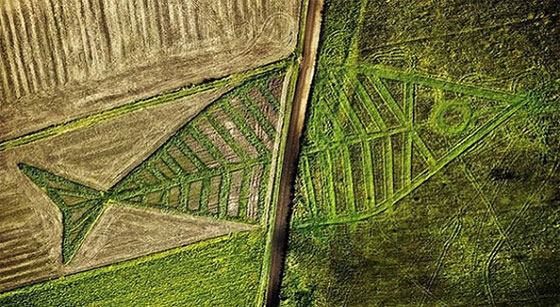 بالصور.. أغرب الحدود الفاصلة بين الدول  صورة رقم 4