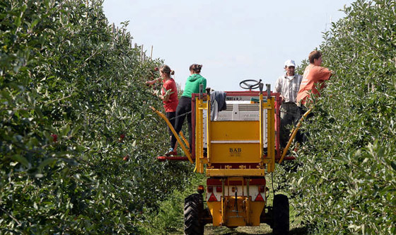 بالصور.. استثمارات قطر في كل أقطار العالم صورة رقم 4