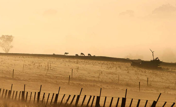 بالصور.. استثمارات قطر في كل أقطار العالم صورة رقم 7