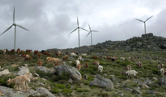 بالصور.. استثمارات قطر في كل أقطار العالم صورة رقم 13