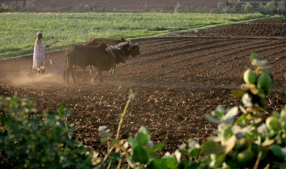 بالصور.. استثمارات قطر في كل أقطار العالم صورة رقم 16