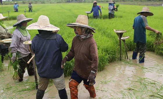 بالصور.. استثمارات قطر في كل أقطار العالم صورة رقم 21