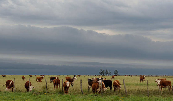 بالصور.. استثمارات قطر في كل أقطار العالم صورة رقم 23