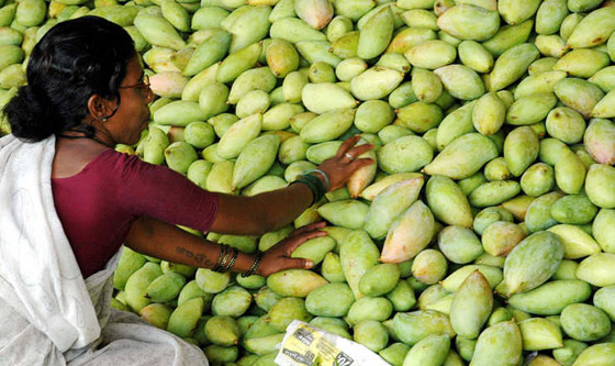 بالصور.. استثمارات قطر في كل أقطار العالم صورة رقم 26