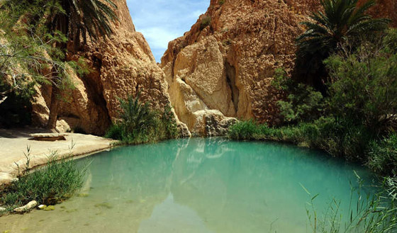 بالصور.. استثمارات قطر في كل أقطار العالم صورة رقم 30