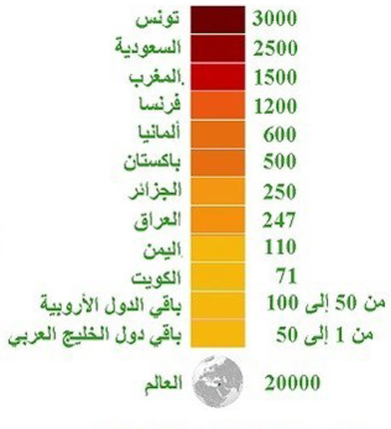 معطيات مثيرة عن مقاتلي داعش.. معظمهم جاؤوا من القارة العجوز صورة رقم 1 معطيات مثيرة عن مقاتلي داعش.. معظمهم جاؤوا من القارة العجوز صورة رقم 1