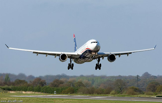 عقرب يلسع مسافرة بالطائرة ويتسبب بتأخير الرحلة  صورة رقم 1